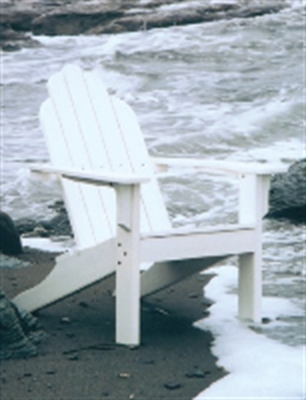Picture of Seaside Adirondack Outdoor Shell Cafe Dining Side Chair