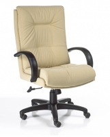 Picture of High Back Executive Ergonomic Office Conference Chair