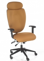 Picture of High Back Executive Ergonomic Office Swivel Chair, Headrest