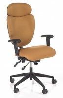 Picture of Mid Back Executive Ergonomic Office Swivel Chair, Headrest