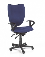 Picture of Mid Back Executive Ergonomic Office Swivel Chair