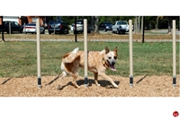 Picture of Bark Park Weave Posts, Outdoor Dog Exercise