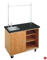 Picture of DEVA 24" x 48" Lab Work Storage Cabinet with Sink