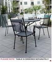Picture of GRID Outdoor Wrought Iron Dining Arm Chairs, Pack of 4
