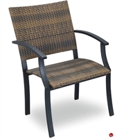 Picture of Flexsteel Healthcare Outdoor Wrought Iron Arm Chair